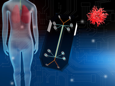 Lung-on-a-chip