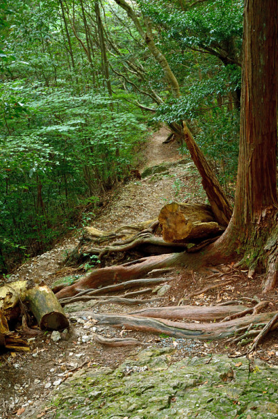 Horaiji山徒步公路