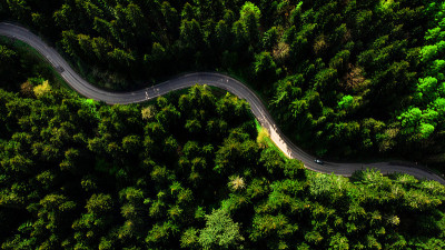 蜿蜒的乡村道路槽林。空中从上到下的无人机视图