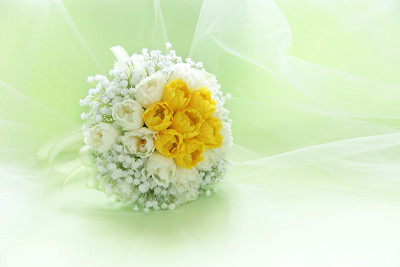 郁金香和gypsophila花束