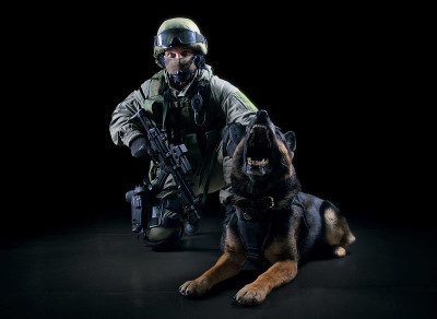 一名身穿军装的武装男子坐在搜救犬旁边