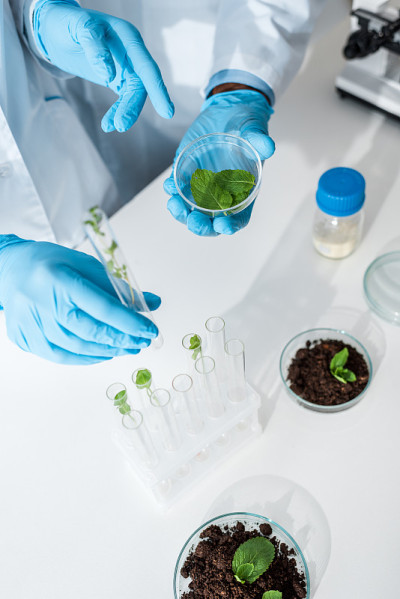 多元文化生物学家在实验室里抱着绿叶的观点