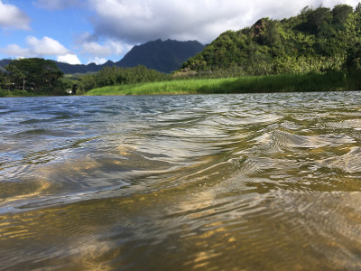 夏威夷考艾岛哈纳雷海湾的怀奥里河，进入太平洋。
