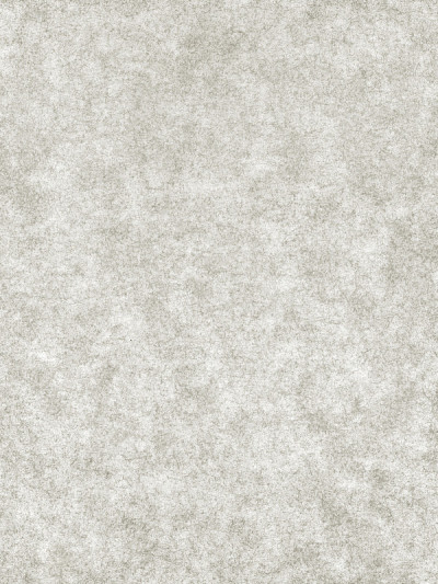 纸扫描