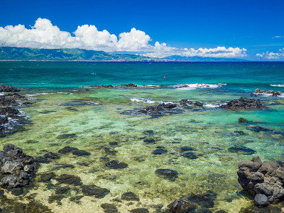 夏威夷毛伊岛的Ho'okipa海滩公园，风帆冲浪的地方，大浪和大海龟