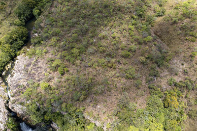 veadeiros的Chapada dos veadeiros