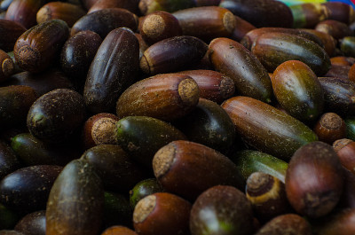 Argan
