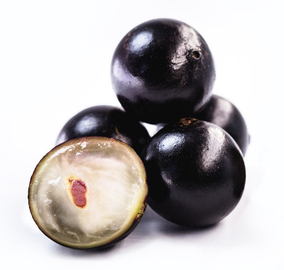 一种巴西水果，叫jabuticaba或jaboticaba。孤立在白色背景上。有机水果，不含防腐剂。