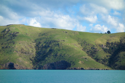 的观点Akaroa
