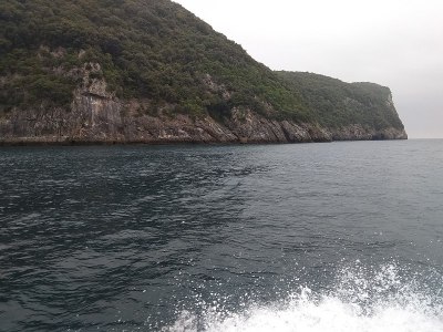 欧洲，西班牙，贝梅奥