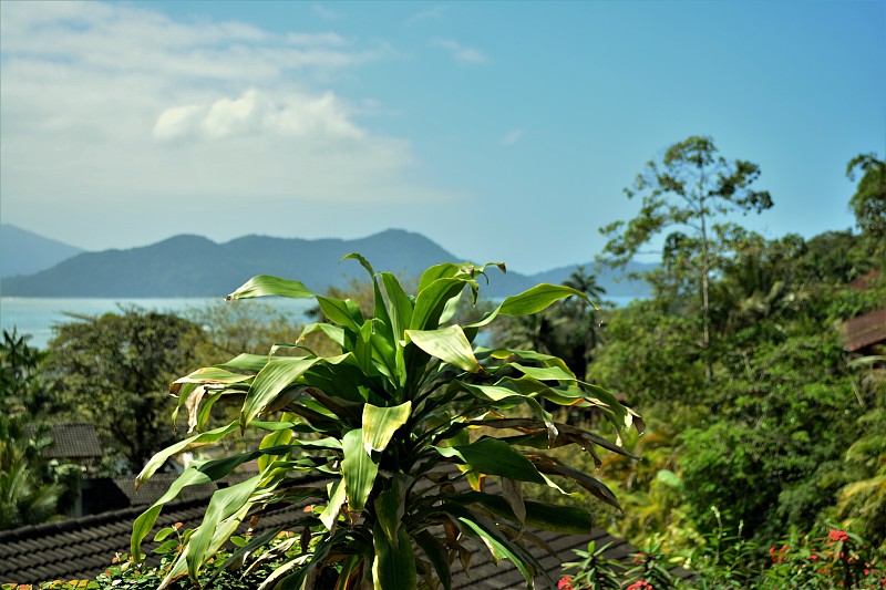 北海岸的德雷塞纳