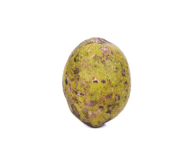猪李或马角巴(Spondias pinnata (L.f.))(库兹)在白色背景上