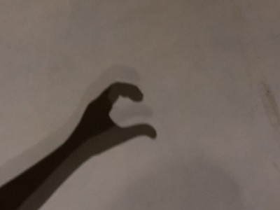 一只手的阴影照片形成一个心的一面