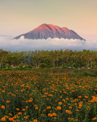从gumitir花园拍摄，并观看阿贡山，Karangasem巴厘岛