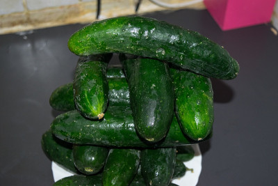 食物水果