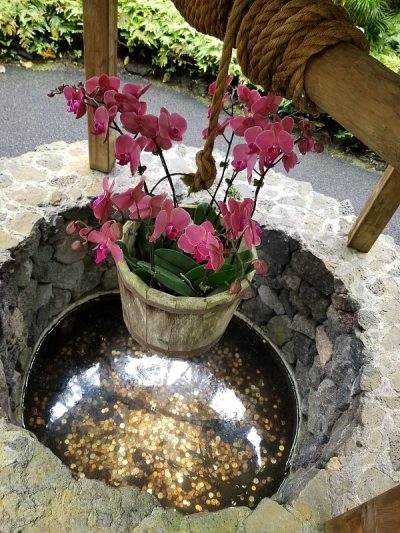 希望离开