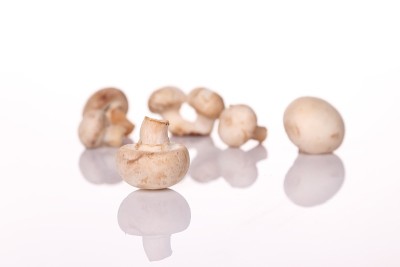 蘑菇孤立于白色