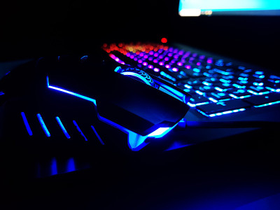 PC和鼠标玩家组成