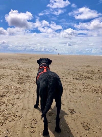 Watch me run along this beach