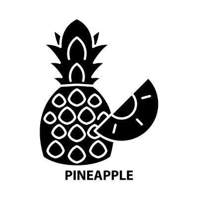 pineapple icon, black vector sign with editable st