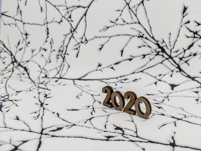 2020年新
