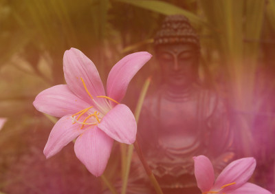 雨百合与背景佛像