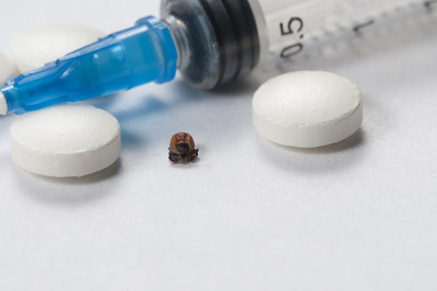 螨、片剂及注射器