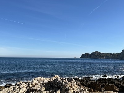 白色湾