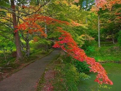 日本风景秋叶