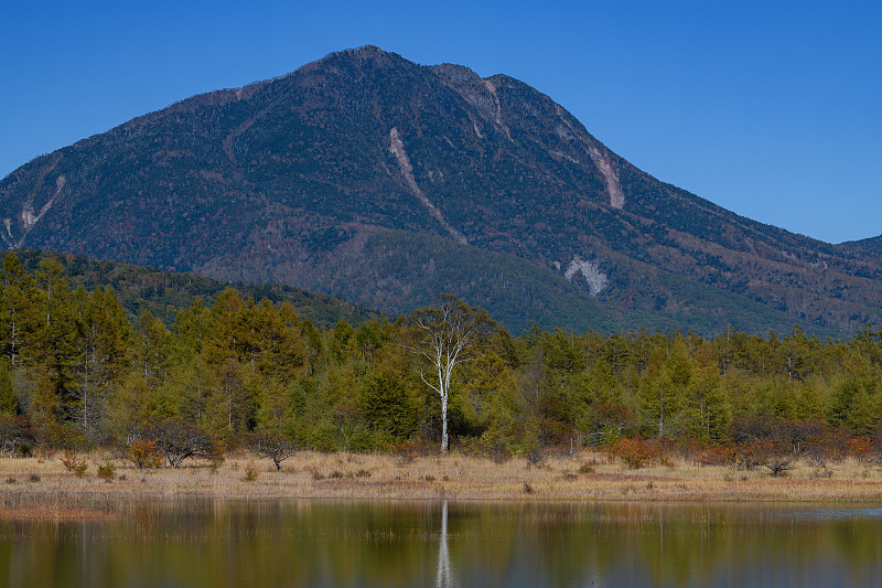 从小田原看太郎山