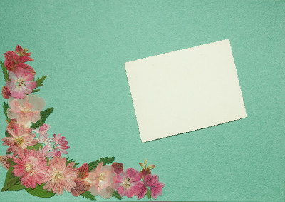 旧相册里的一页是绿色的。剪贴簿元素装饰的叶子，花和花瓣菊花。乡村风格的相册页在剪贴簿与相框的照片。
