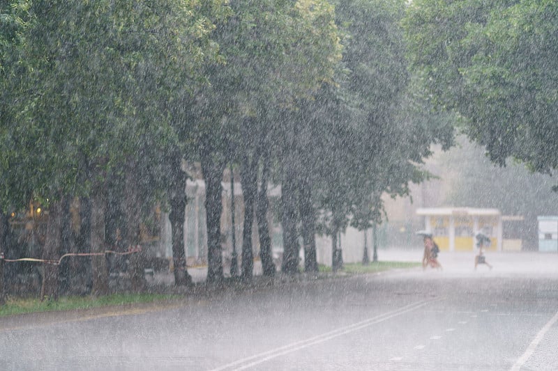 暴风雨中的莫斯科公园