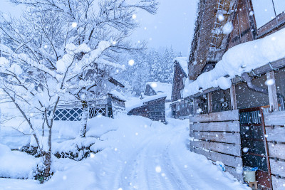 白川走下了大雪