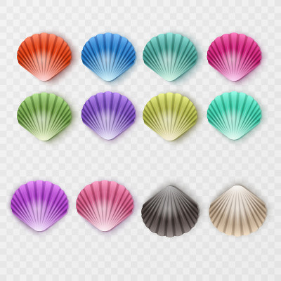 彩色的海贝壳剪影设置在白色的背景。矢量图