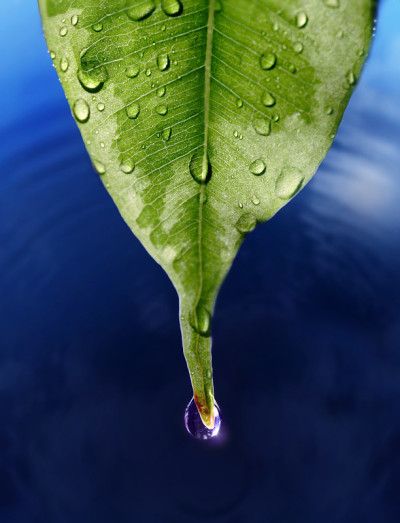 水滴