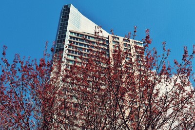 建筑在布鲁克林