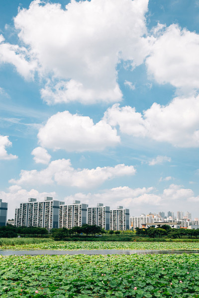 夏季的花郎休闲公园和现代公寓