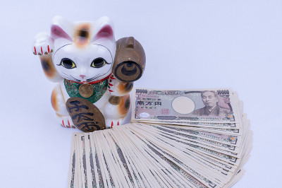 一只吸引人的猫和金钱来创造幸福。