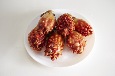 海菠萝