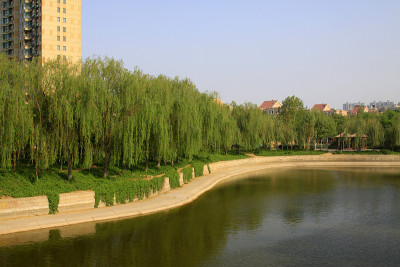 河边和绿化在一个城市，特写照片