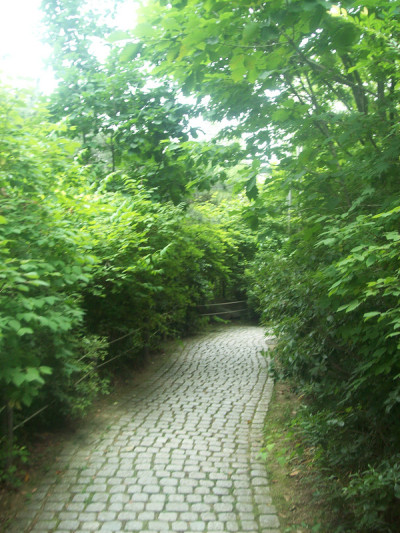 去韩国首尔旅游