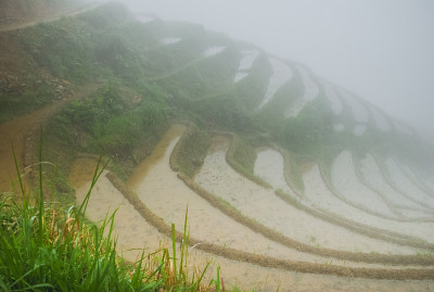 龙脊梯田风光