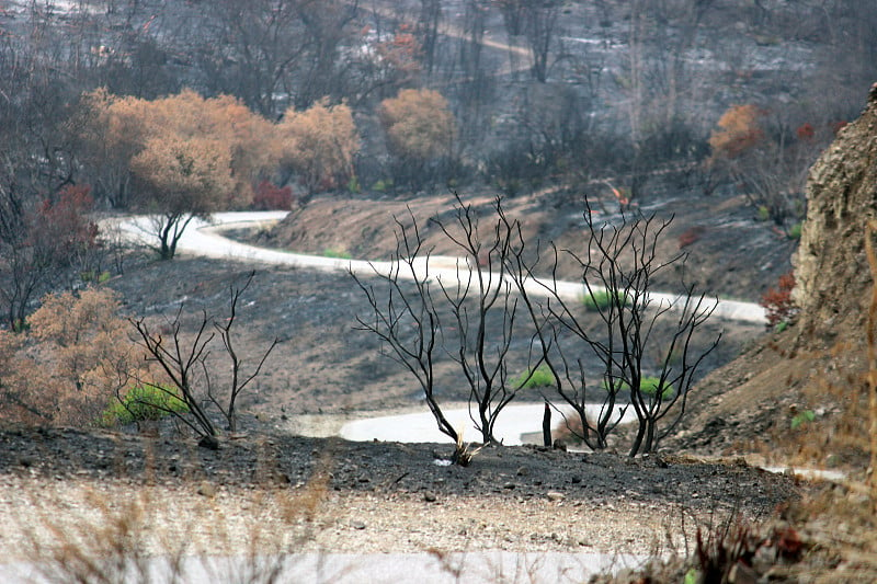 梧桐峡谷