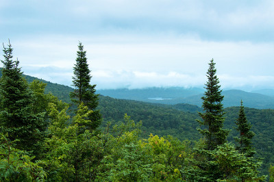 特朗山国家公园的田园诗般的风景