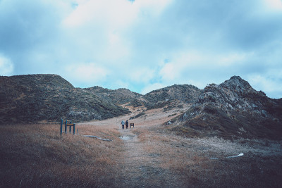 情侣徒步旅行在自然景观，惠灵顿，新西兰