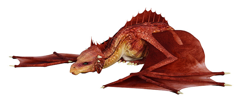 3D插图幻想龙在白色