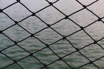 黑网和湖水