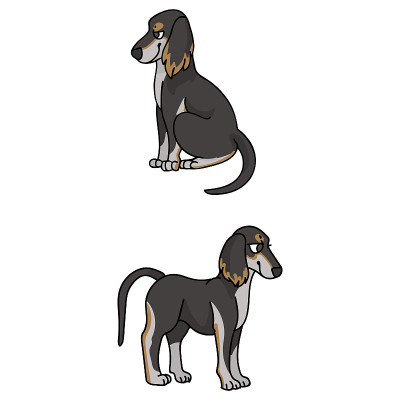 可爱的卡通萨卢基小狗品种矢量剪贴画。纯种犬舍狗品种为狗爱好者。纯种家犬为宠物客厅插图吉祥物。隔离犬猎