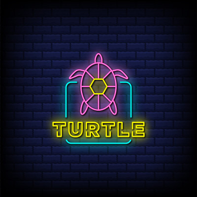 Turtle neon signs style text design in blue bricks