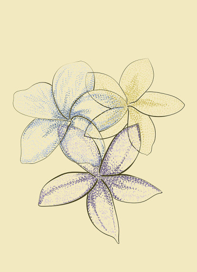 画点画花